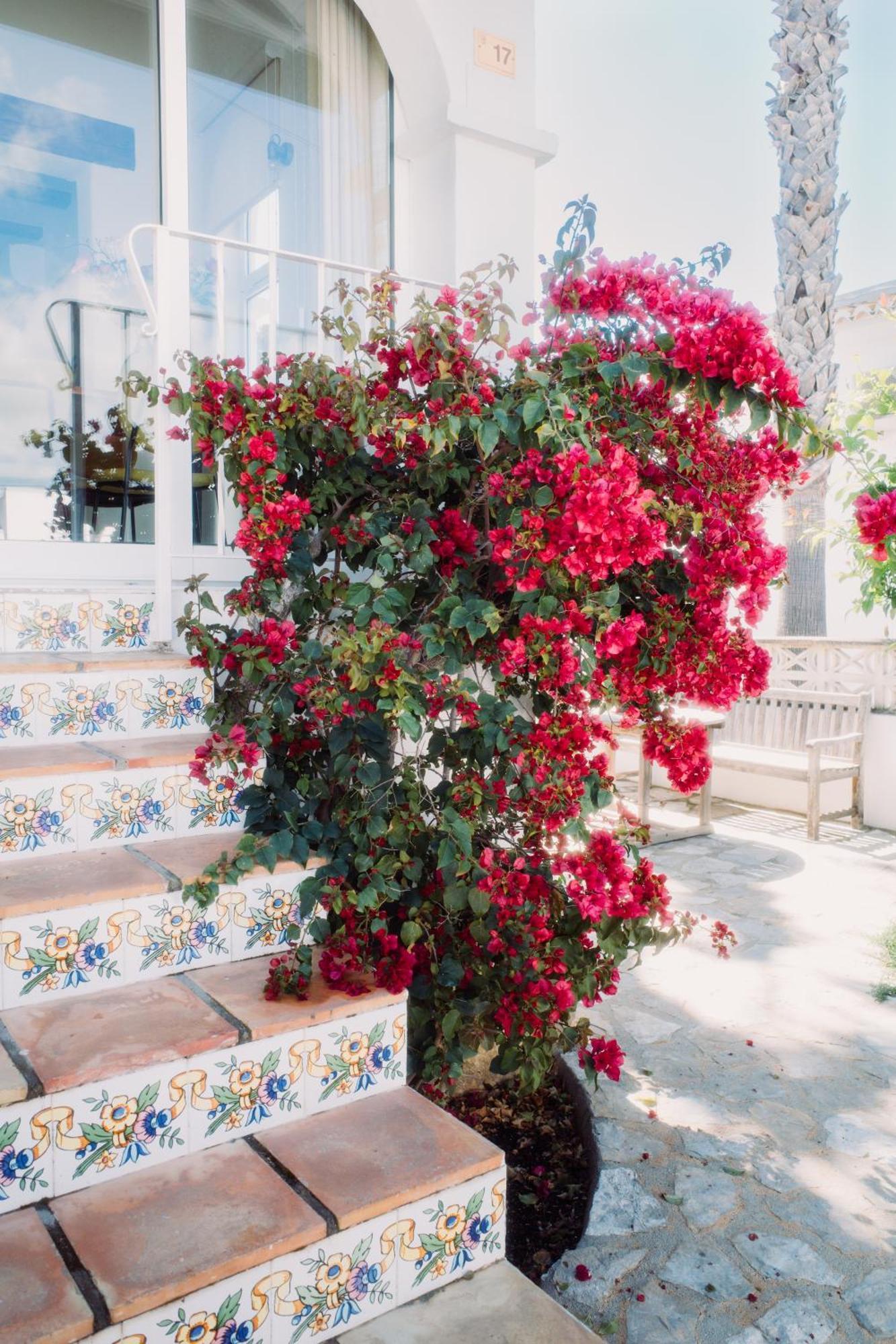 הוילה טאולאדה Casa Bianca 2 מראה חיצוני תמונה